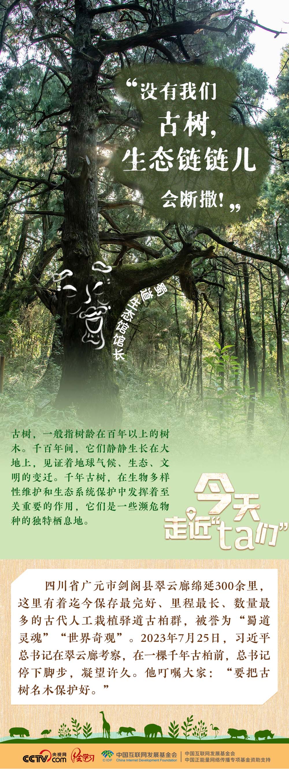 天天学习｜习近平特别关注的“TA们”