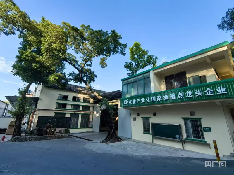 民营经济新观察｜扎根“粤”沃土 民企信心足