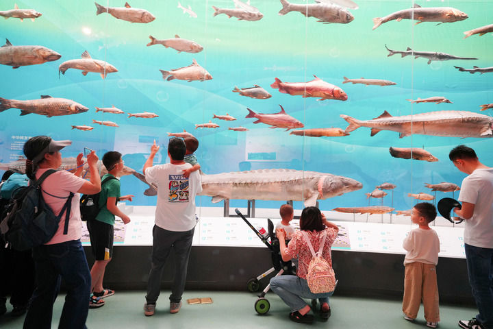 书写文化强国建设的时代答卷——写在2025文化强国建设高峰论坛开幕之际 书写文化强国建设的时代答卷——写在2025文化强国建设高峰论坛开幕之际