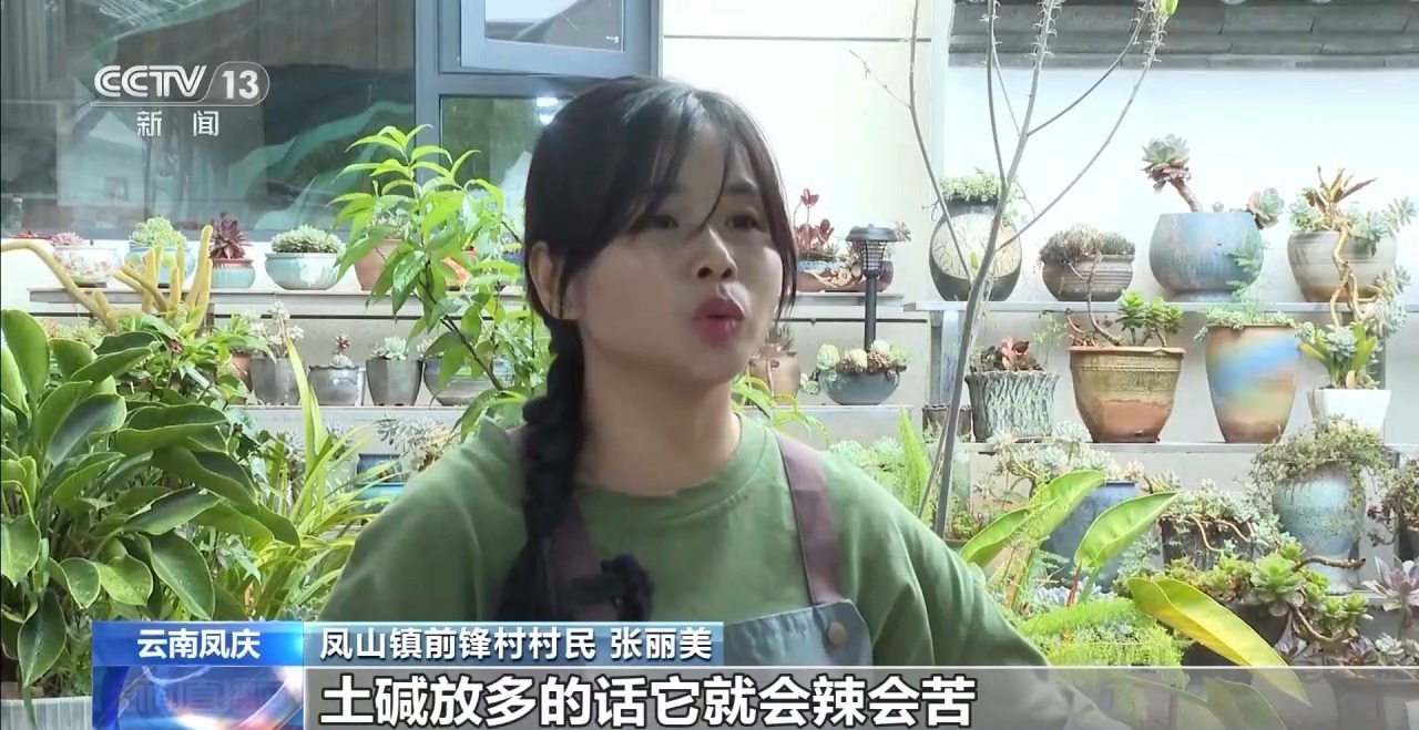 传统与创意碰撞！全国多地端午民俗活动大赏