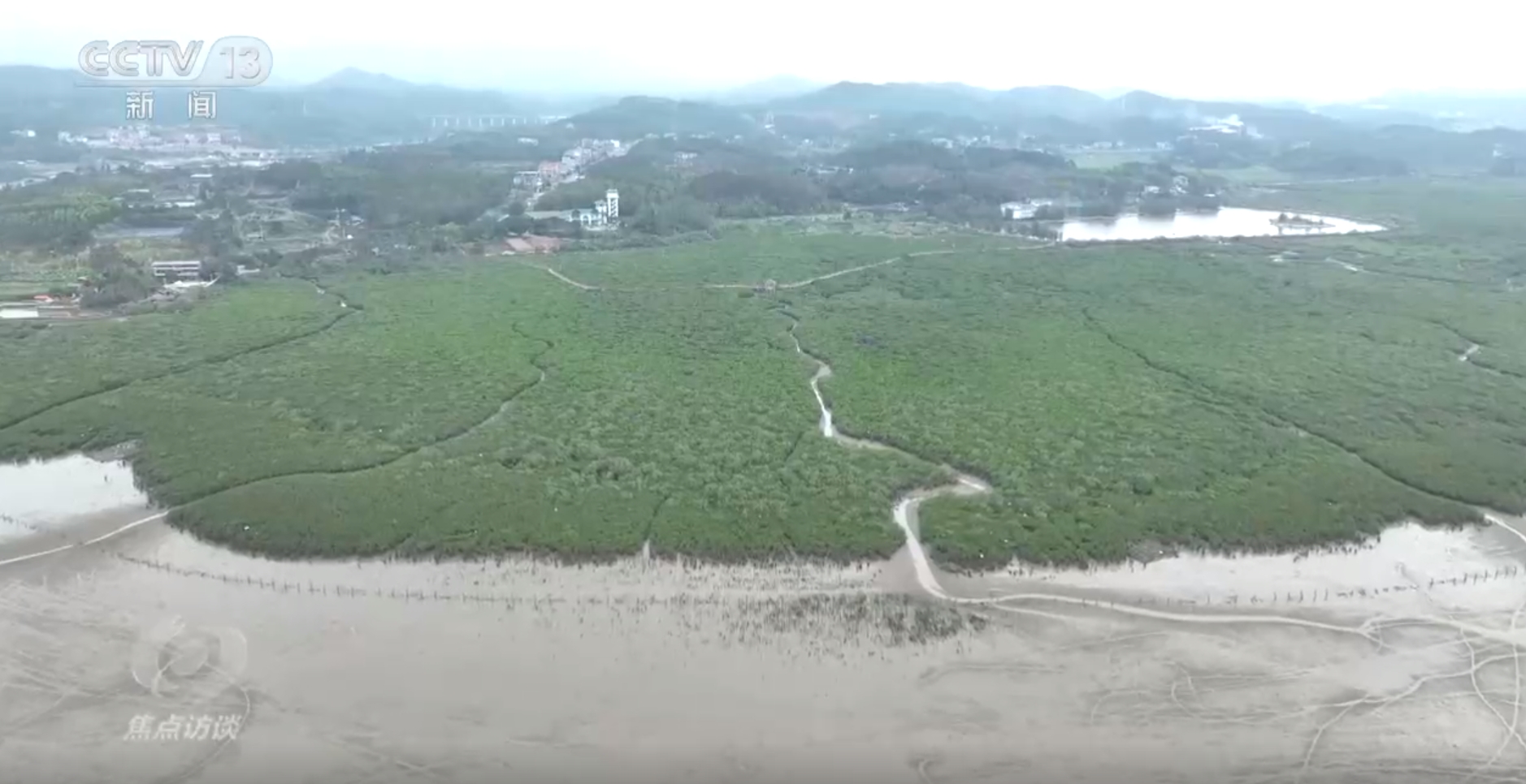 焦点访谈｜“行走的思政课”遍地开花 看新时代少先队如何创新蜕变