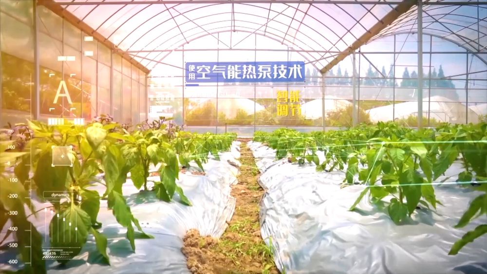 创新驱动 开放共赢：经济高质量发展新图景