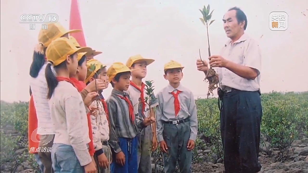 少先队这所“大学校”有哪些蜕变？