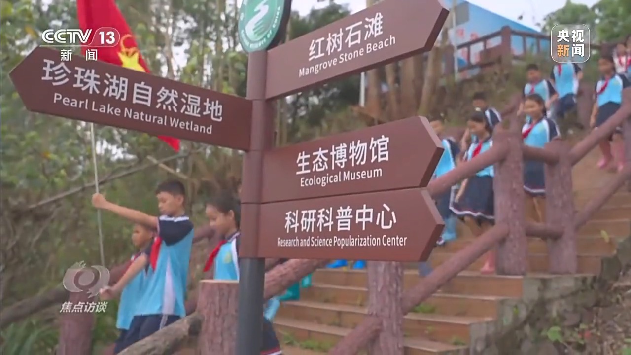 少先队这所“大学校”有哪些蜕变？