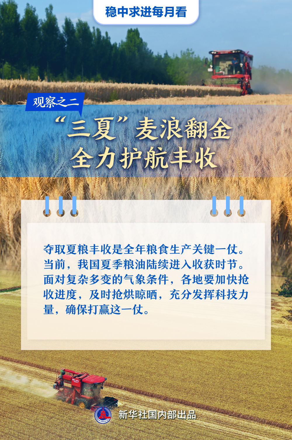 稳中求进每月看｜破浪前行风帆劲——5月全国各地经济社会发展观察