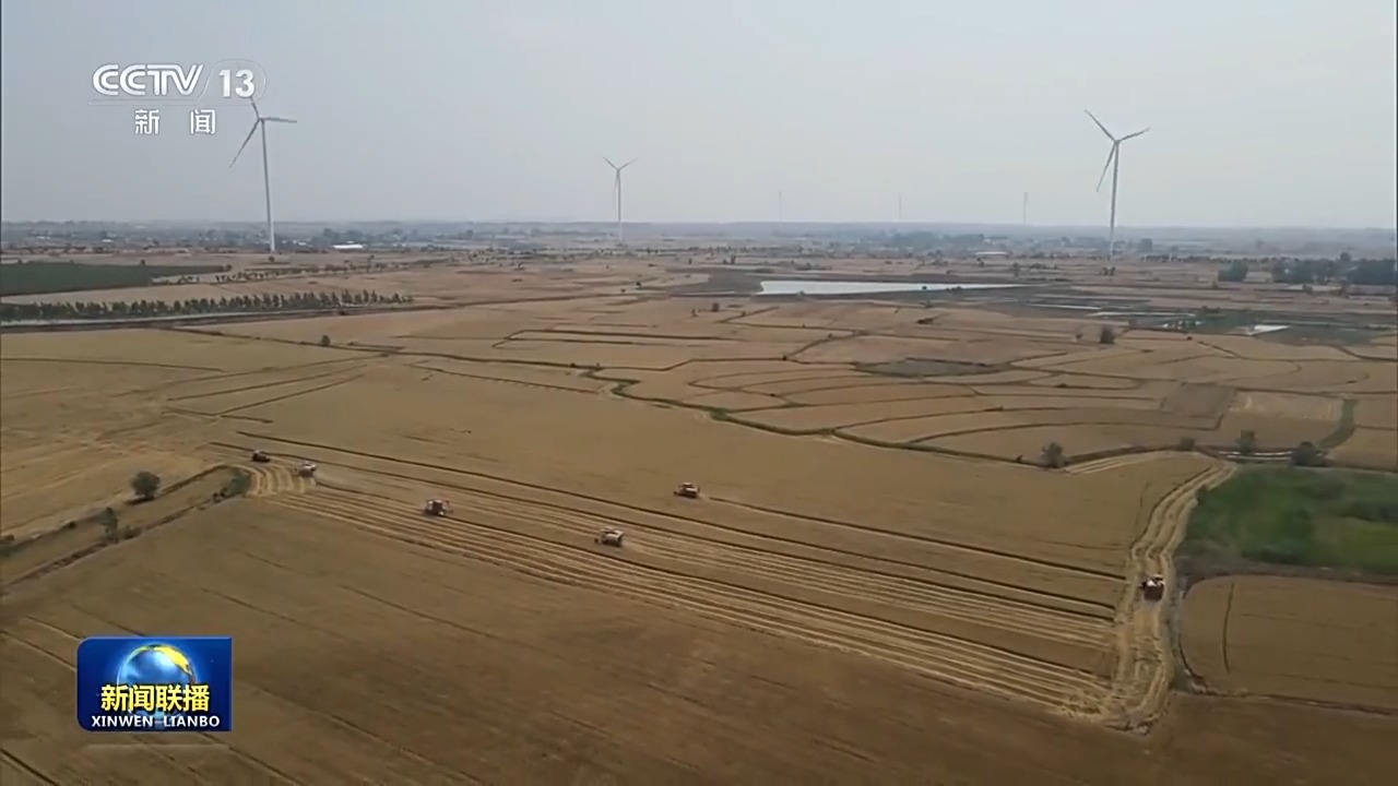 云端调度+智能维修 三夏麦收驶入“智”车道