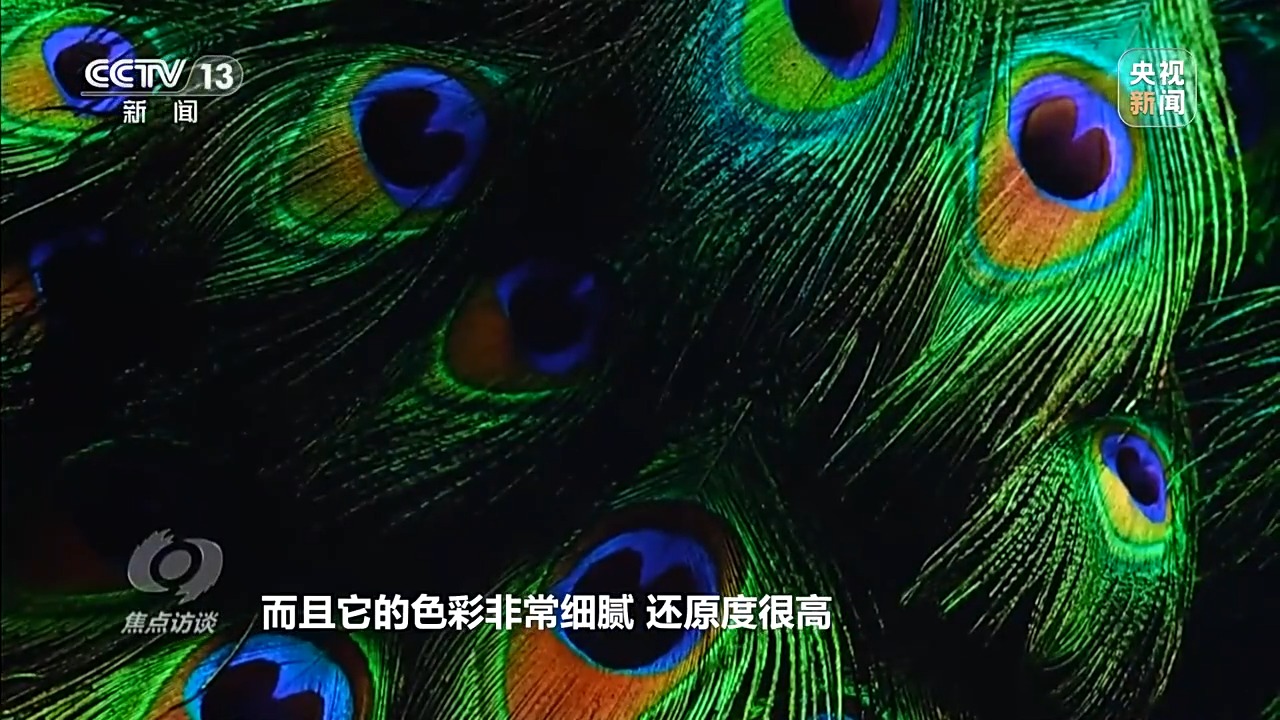 焦点访谈丨致敬科技工作者 以坚守创新托举强国未来