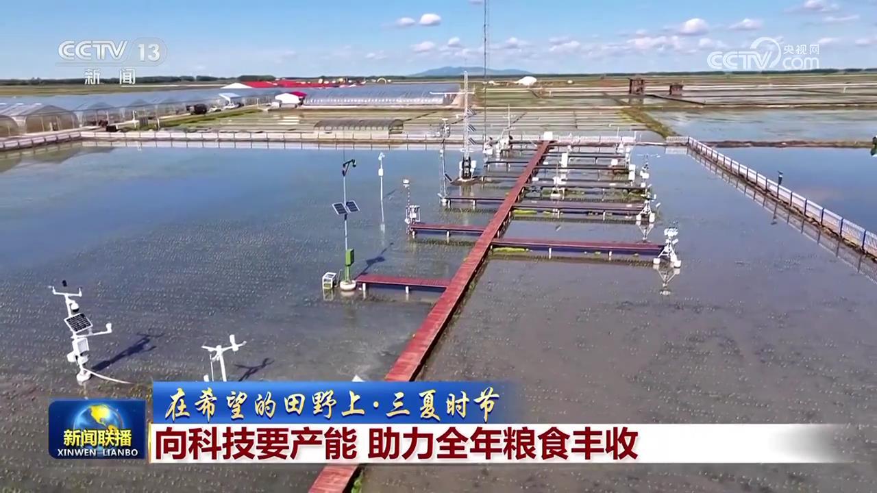 【在希望的田野上·三夏时节】向科技要产能 助力全年粮食丰收