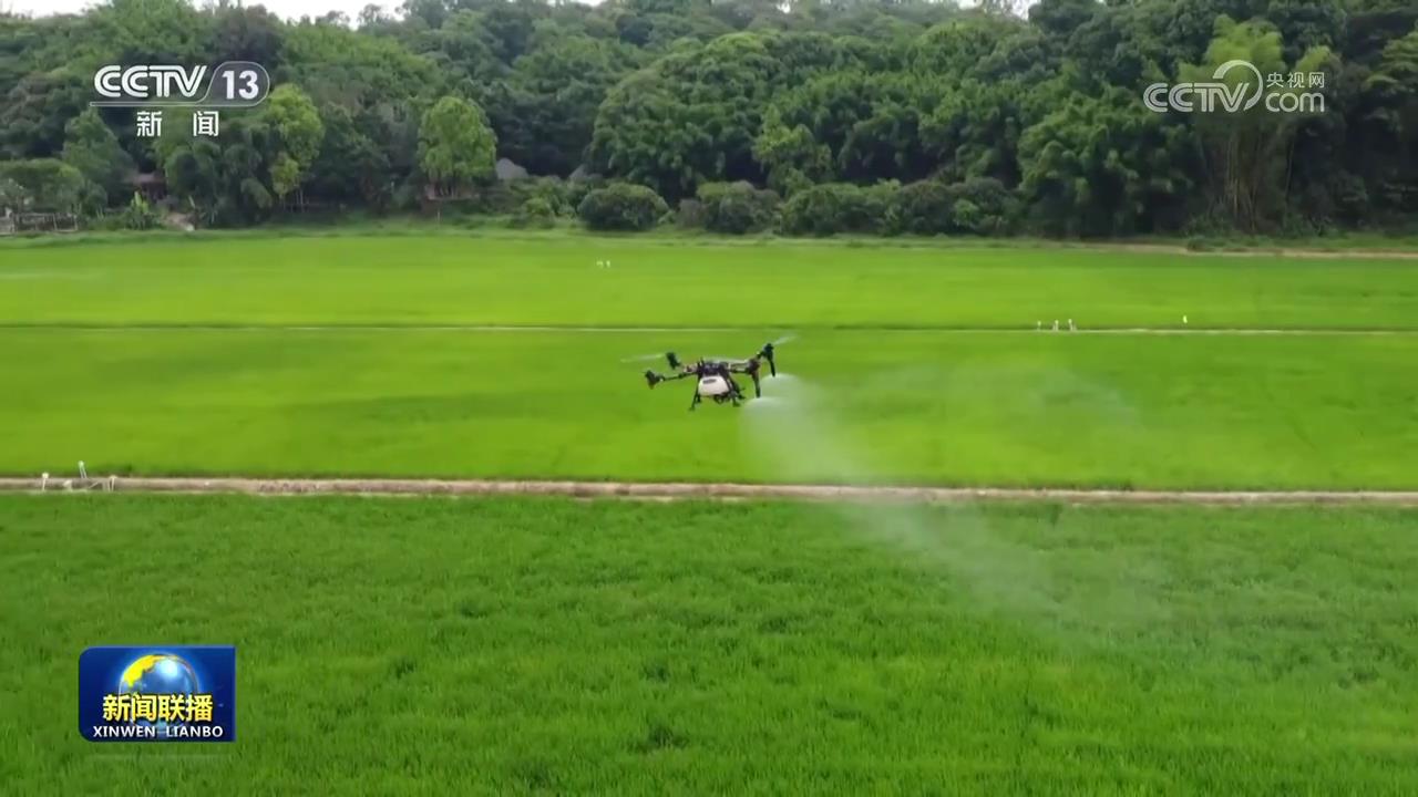 【在希望的田野上·三夏时节】向科技要产能 助力全年粮食丰收