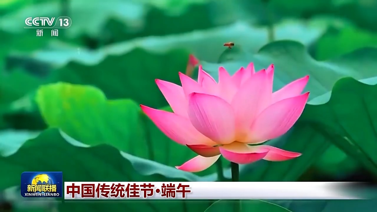 文化中国行丨浓浓家国情 一起传承端午习俗