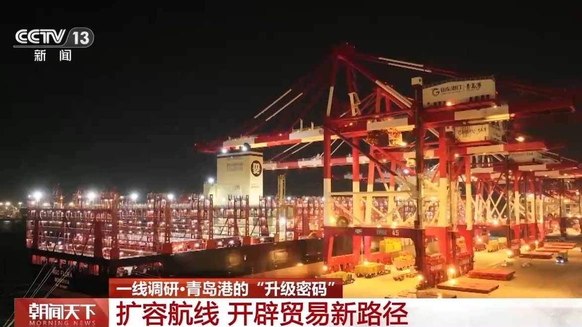 一线调研丨从4小时到20分钟 青岛港科技升级货物“秒通关”