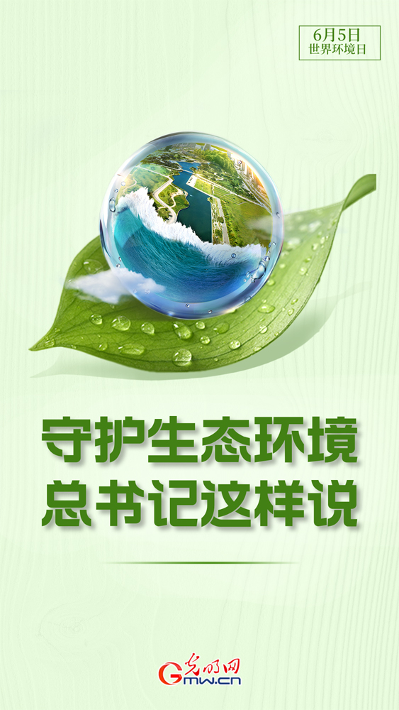 【世界环境日】守护生态环境 总书记这样说