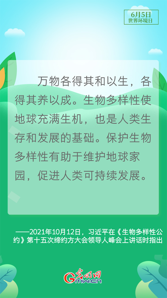 【世界环境日】守护生态环境 总书记这样说