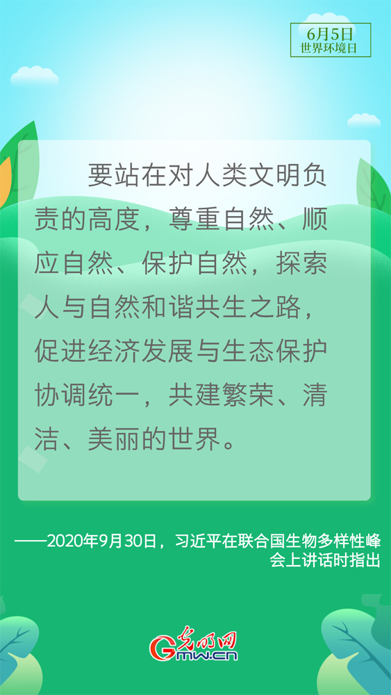 【世界环境日】守护生态环境 总书记这样说