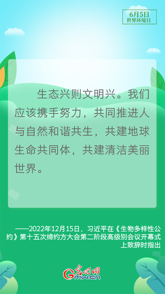 【世界环境日】守护生态环境 总书记这样说
