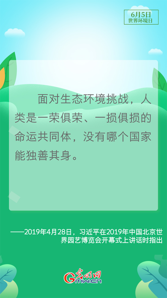 【世界环境日】守护生态环境 总书记这样说
