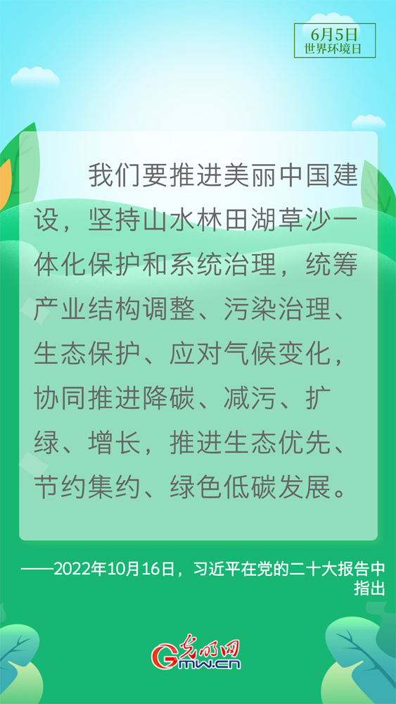 【世界环境日】守护生态环境 总书记这样说