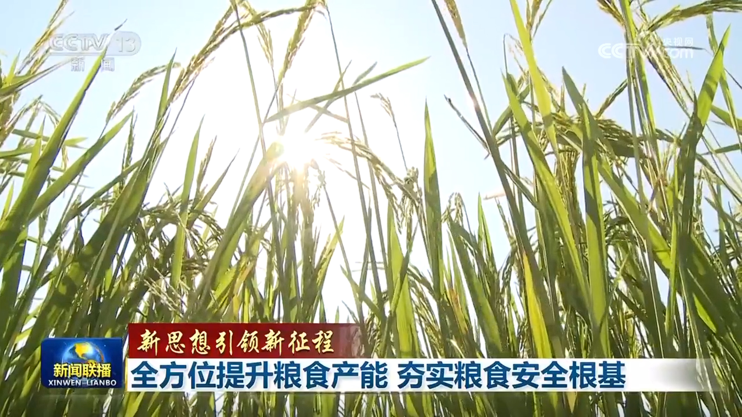 【新思想引领新征程】全方位提升粮食产能 夯实粮食安全根基