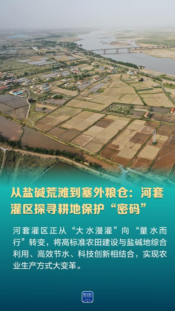 从盐碱荒滩到塞外粮仓：河套灌区探寻耕地保护“密码”