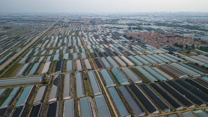 中国经济样本观察·县域样本篇｜“中国蔬菜之乡”为什么是这座山东小城？