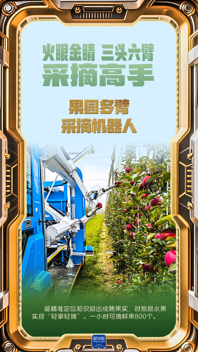 创意海报｜“三夏”时节，见识田间地头的农机“黑科技”