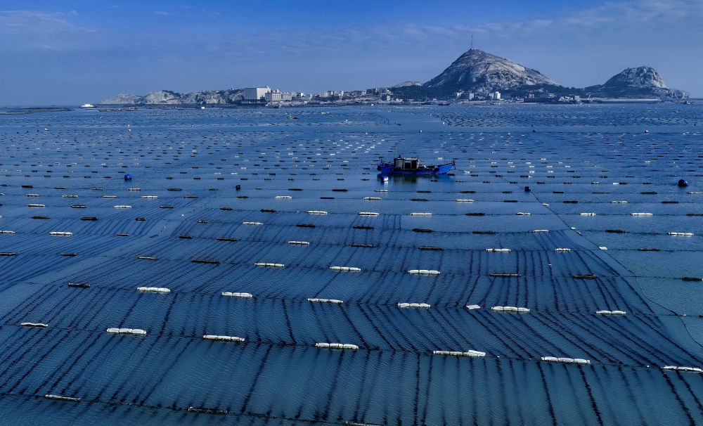 世界海洋日｜向着深蓝色的海洋启航