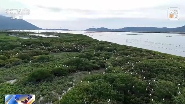 我国海洋能开发利用技术已迈入世界第一方阵
