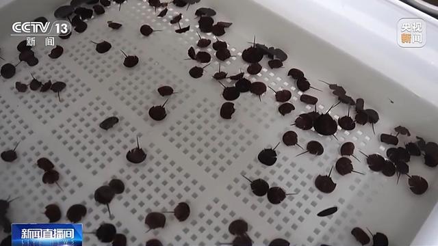 我国海洋能开发利用技术已迈入世界第一方阵