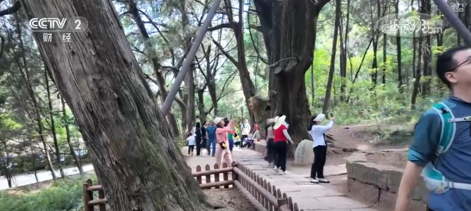 穿越古蜀道、雨中限定……焕新升级！夏日文旅亮点纷呈激活消费新引擎