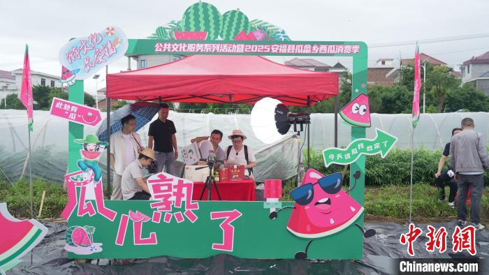 （乡村行·看振兴）江西安福“小西瓜”撬动乡村共富“大支点”