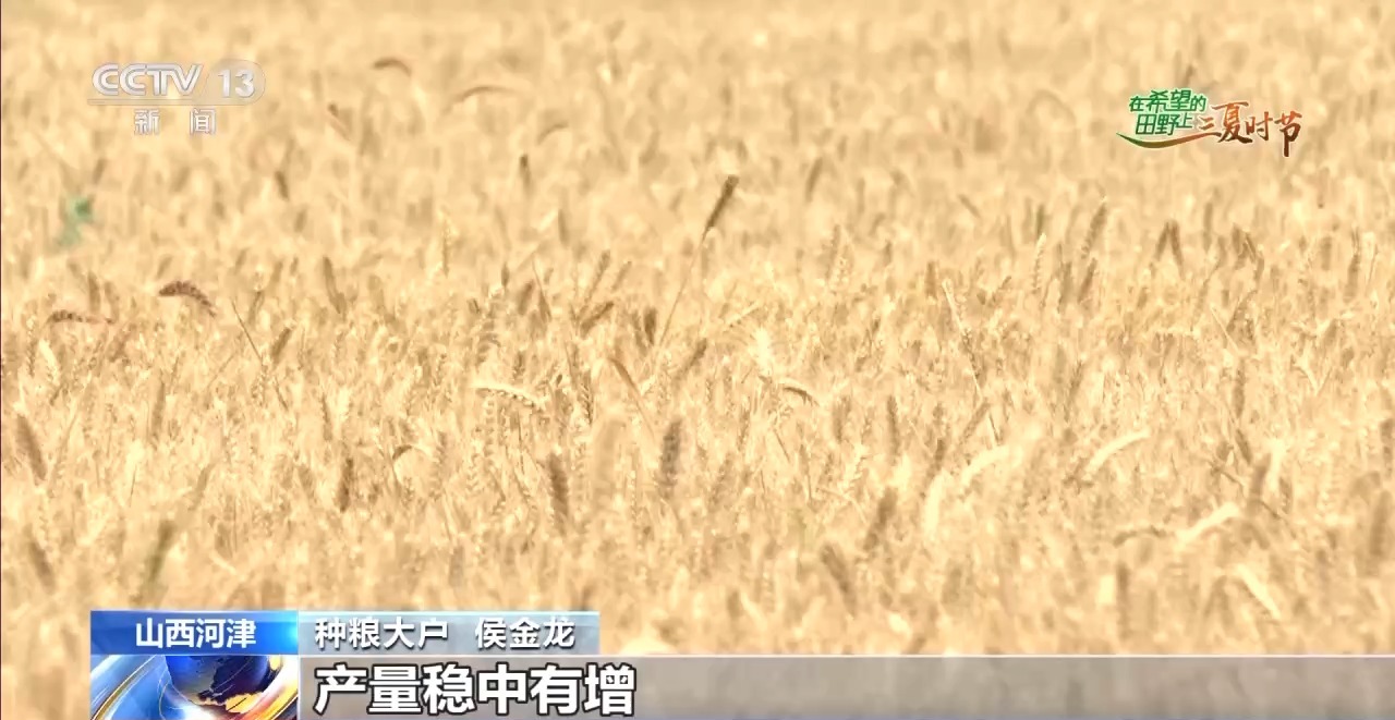“良技+良机” 这个夏收季“科技范”满满