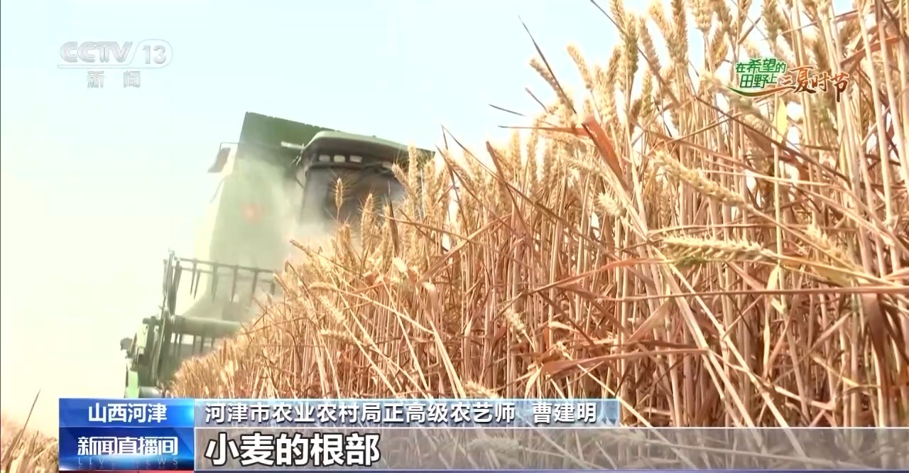 “良技+良机” 这个夏收季“科技范”满满