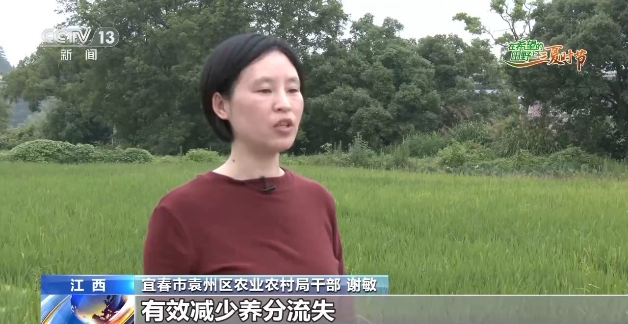 “良技+良机” 这个夏收季“科技范”满满