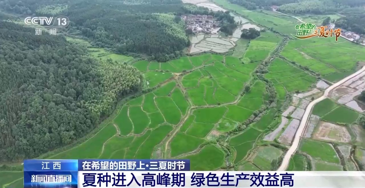 “良技+良机” 这个夏收季“科技范”满满
