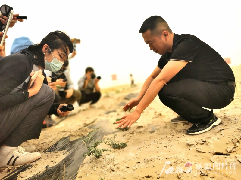 环着沙漠看新疆丨台特玛湖重生：百亿立方水唤醒“死亡之湖”