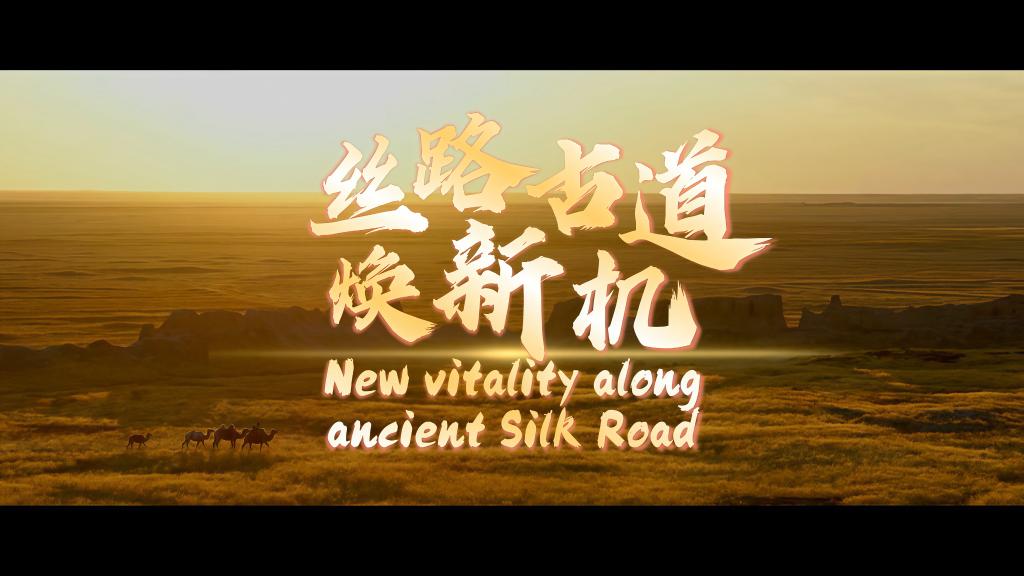丝路古道焕新机