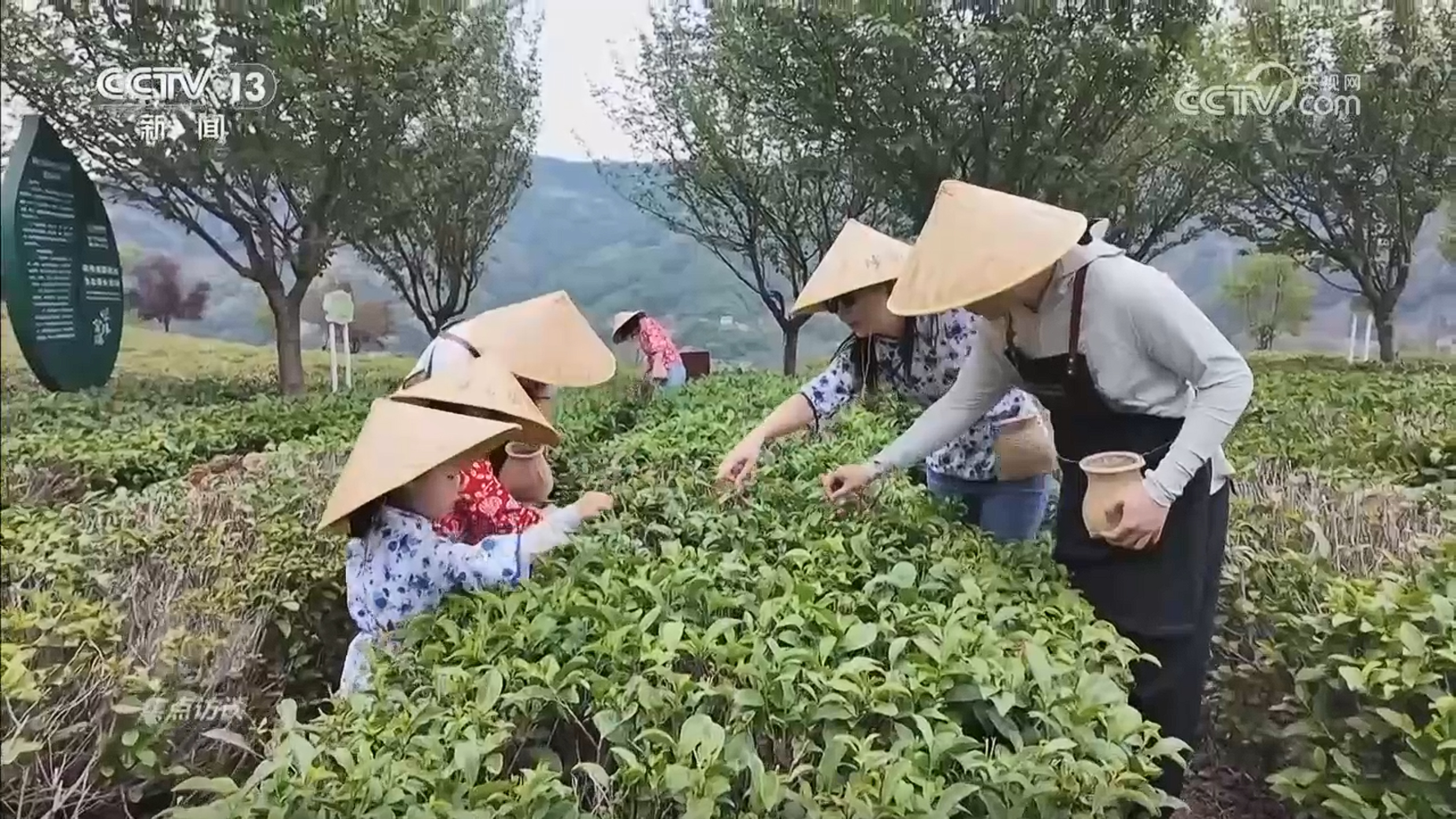焦点访谈丨从“活起来”到“火起来” 非遗如何成为各地文旅新名片