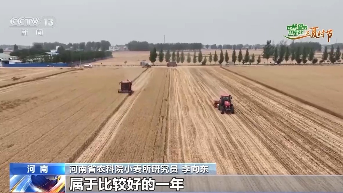 AI解锁丰收密码丨把滴灌带“种”进玉米地 干旱时也能实现高效灌溉