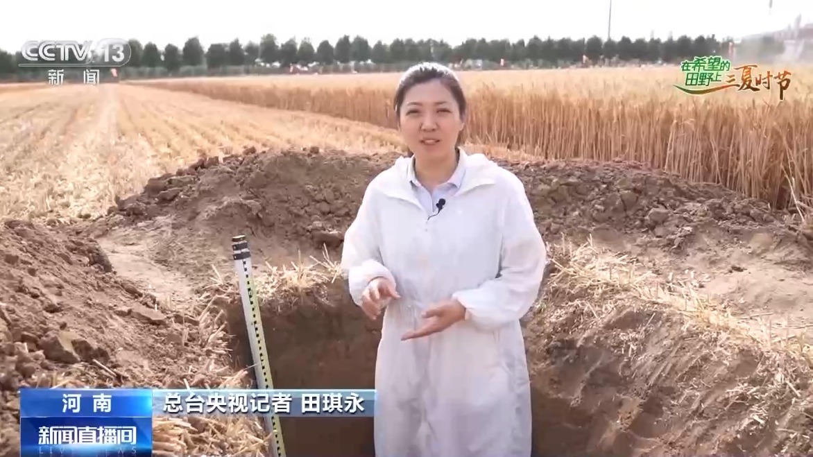 AI解锁丰收密码丨把滴灌带“种”进玉米地 干旱时也能实现高效灌溉