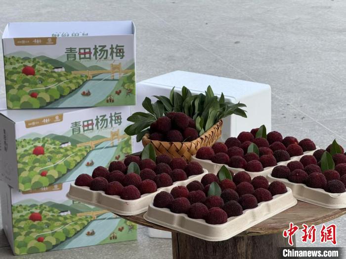 高速赋能产业升级：一条“杨梅路”的致富密码