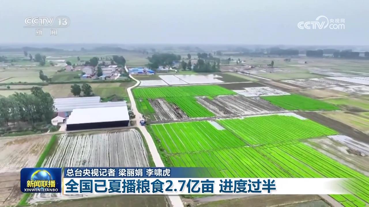 【在希望的田野上·三夏时节】全国已夏播粮食2.7亿亩 进度过半