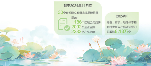 荷塘里走出“金字招牌”（经济新方位·特产背后的故事）