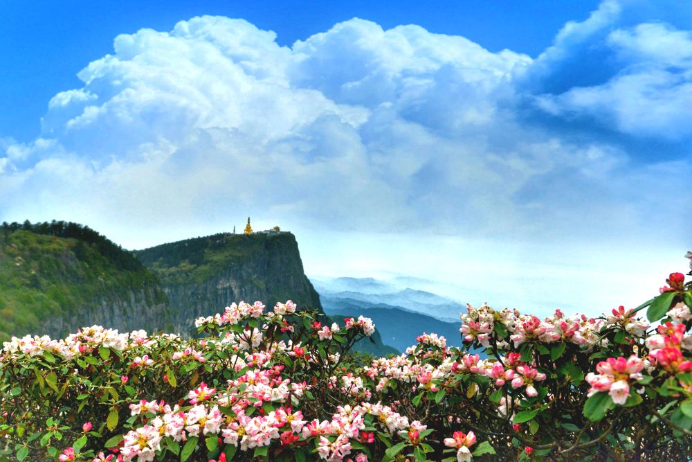 解码文化自信的城市样本|三江交汇润嘉州——解码山水名城乐山的文化自信样本