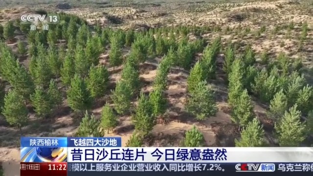 今昔对比瞰变迁 卫星视角带你飞越四大沙地