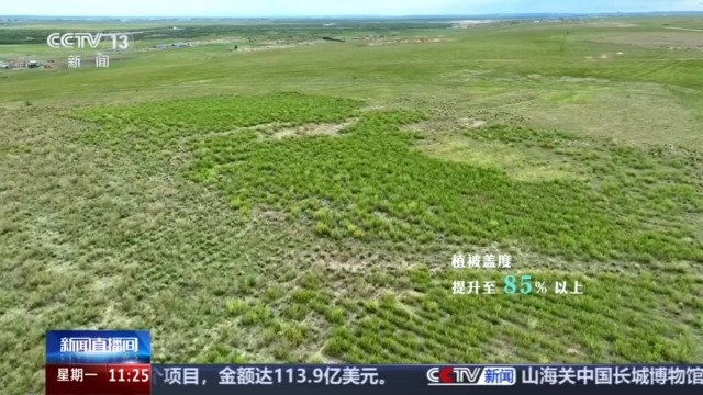 今昔对比瞰变迁 卫星视角带你飞越四大沙地