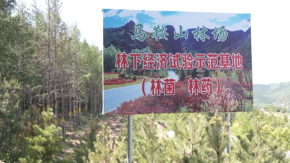 微视频｜为了心中那一抹绿色