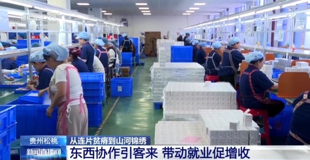 穷山沟→“金窝窝” 解锁集中连片特困地区的“新生密码”