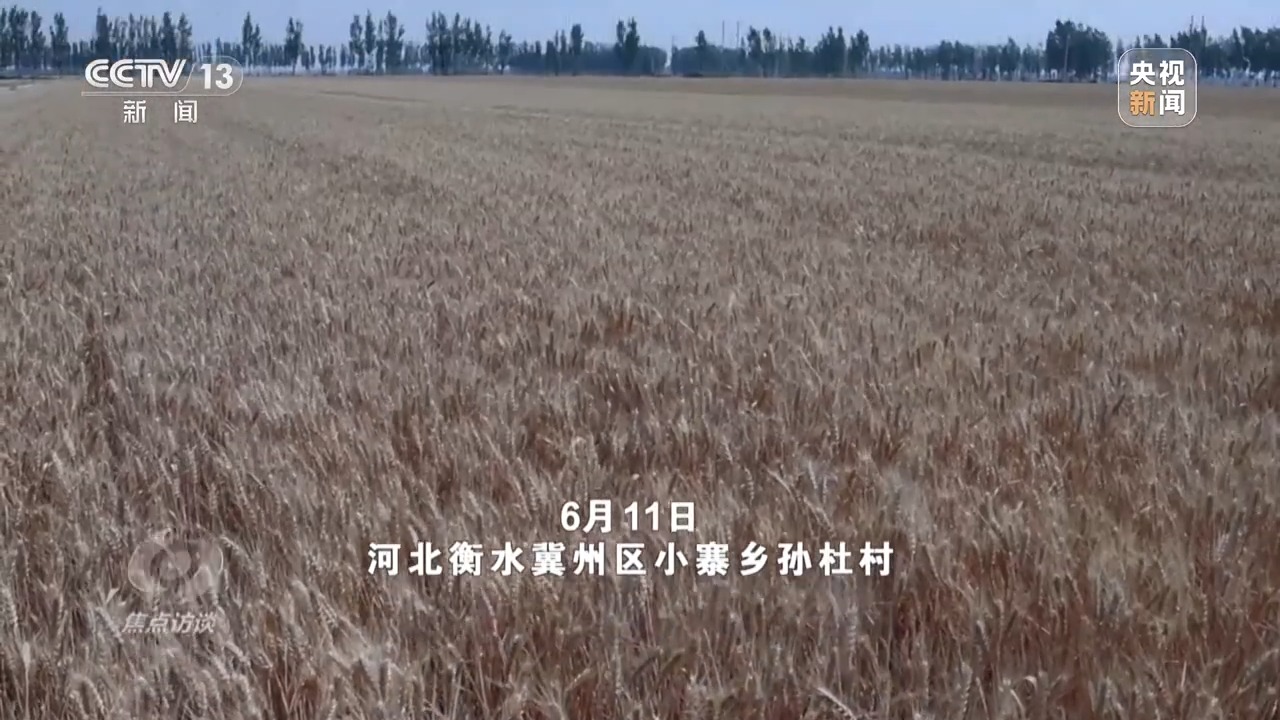 农机装上“智慧大脑”、无人机变身照明灯 科技助力“麦”向丰收
