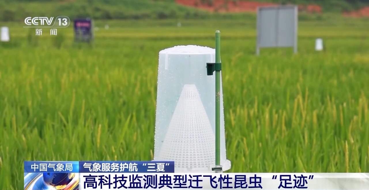 雷达盯害虫、卫星测墒情……智慧气象护航 “三夏”生产