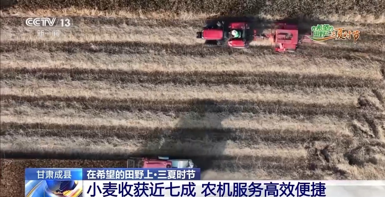 一看二数三称重四“统一” 解锁层层梯田上小麦的丰收密码